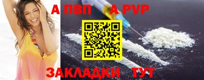 стаф Белореченск