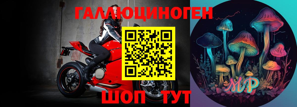 Дагестанские Огни  Псилоцибиновые грибы мицелий  даркнет сайт  Вход с VPN 
